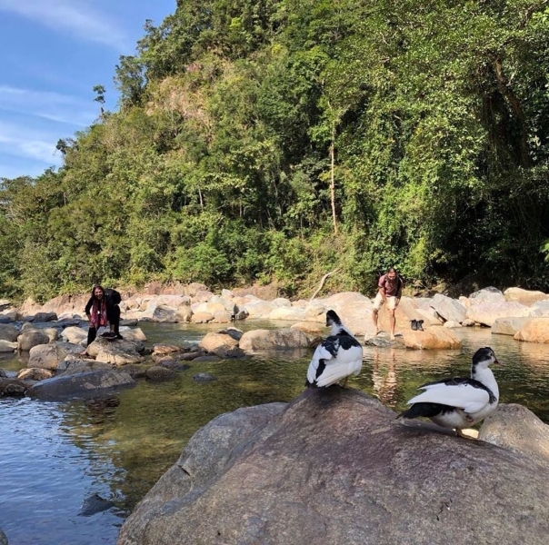 Imagem JPG, Indisponível